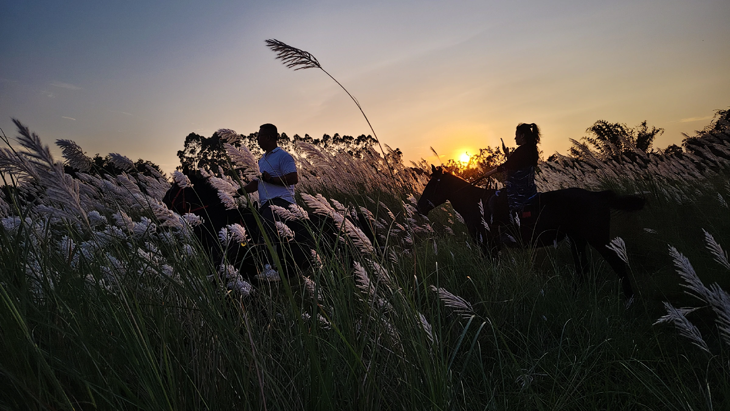 廣東自駕汽車登島 手機影出水滸大俠Feels